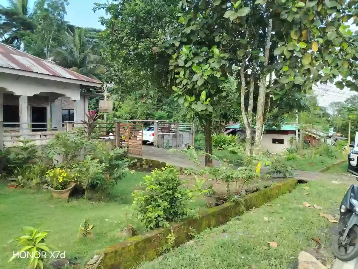 4000 sqm, commercial lot ,with 180 sqm concrete house — Commercial Lot in Pagadian City, Zamboanga del Sur, 7016 — Photo 3