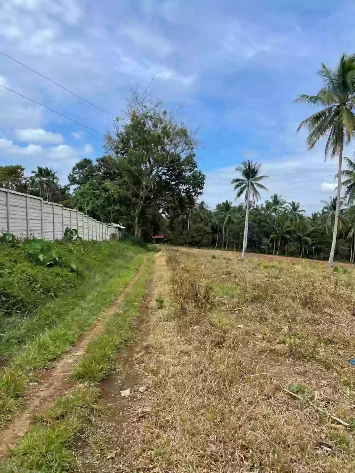 TIGNAPOLOAN FARM FOR SALE — Agricultural Lot in Cagayan de Oro City, Misamis Oriental, 9000 — Photo 5