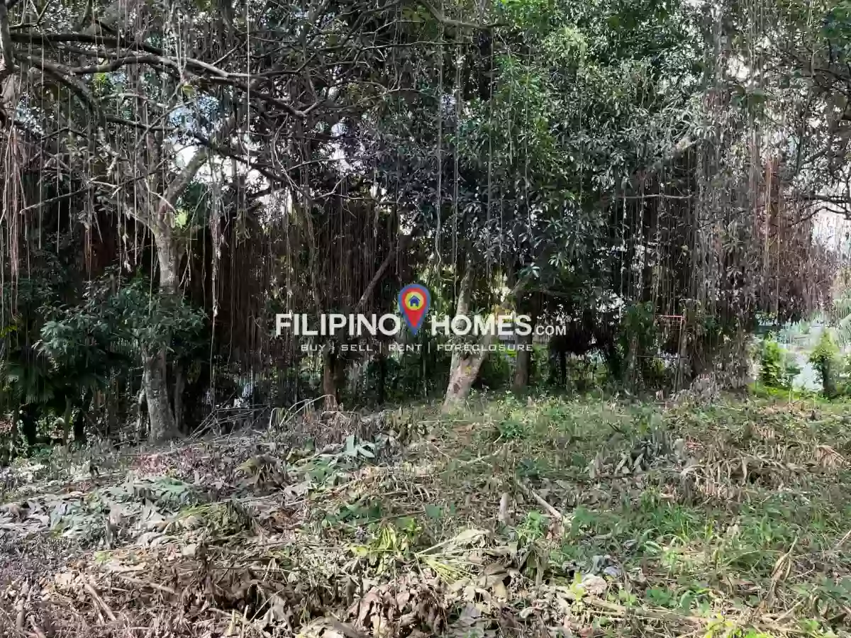 For Sale: 1400 sqm Agricultural Lot in Kiwanan, Midsayap — Agricultural Lot in Midsayap, Cotabato, 9410 — Photo 5