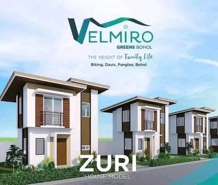 FOR ASSUME: 2BR House and Lot Zuri Unit in Velmiro Greens Bohol — 100 sqm — House and Lot in Biking, Dauis, Bohol — Photo 5