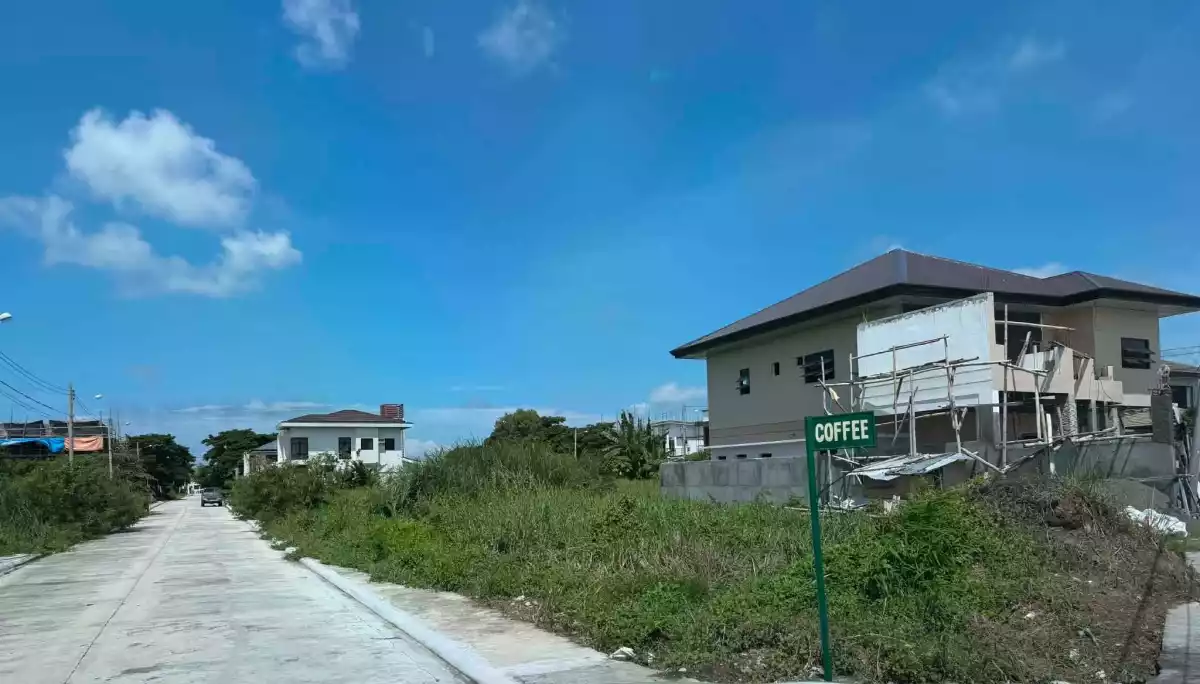 408 sqm lot only near SM CITY Iloilo — Residential Lot in Westwood Subdivision, Hibao-an Sur, Iloilo City — Photo 4
