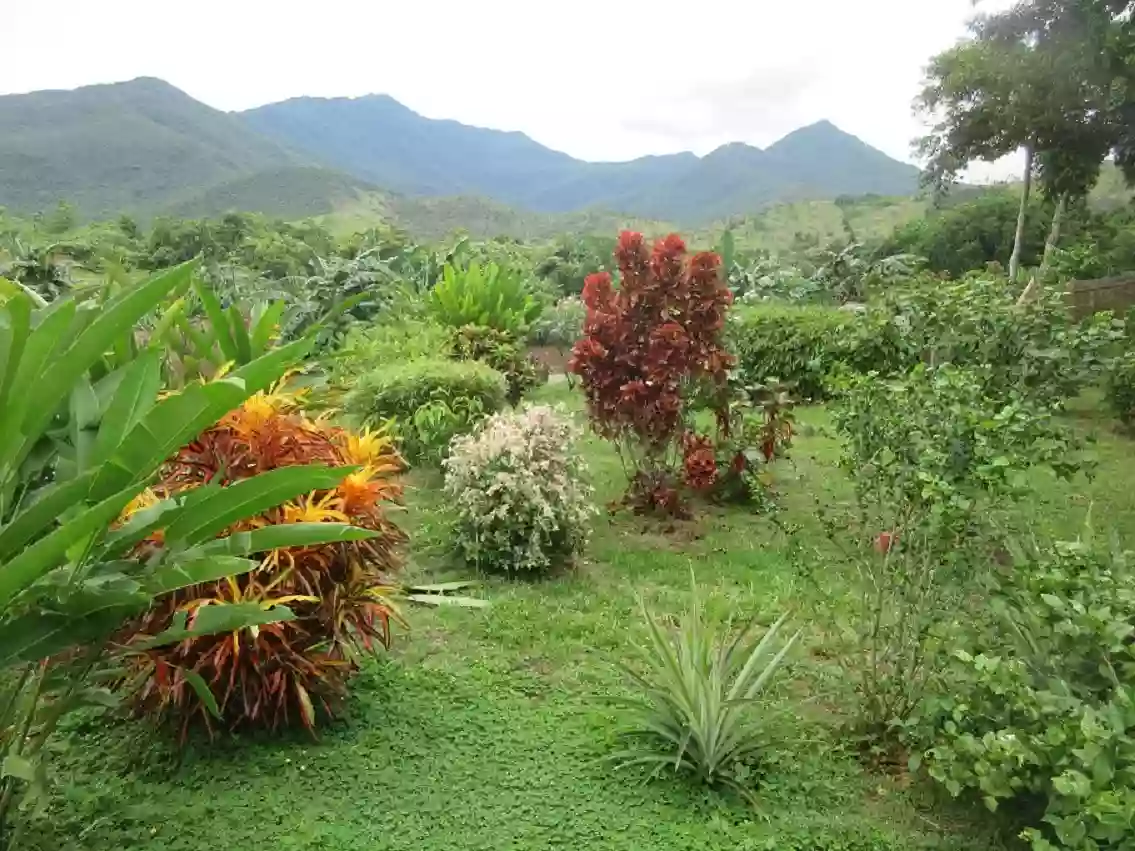 Open photo 11 of 15 — RARE OPPORTUNITY TO BUY A “TURNKEY” INVESTMENT PROPERTY APPROXIMATELY 8 HECTARES / 2 CLEAN TITLES