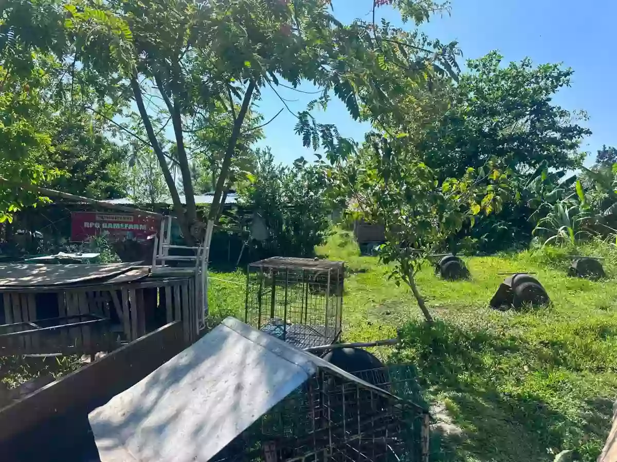 Rush Sale: Residential Lot in Alangilan, Bacolod City — 1585 sqm — Residential Lot in Alangilan, Bacolod City, Negros Occidental — Photo 3