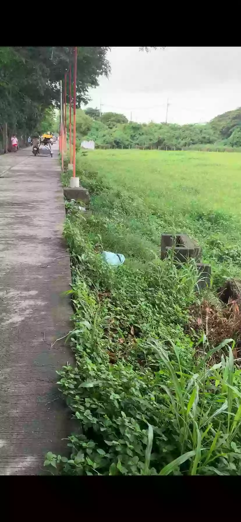 For Sale 11,851 sqm. Agricultural Lot — Agricultural Lot in Plaridel, Bulacan, 3004 — Photo 3