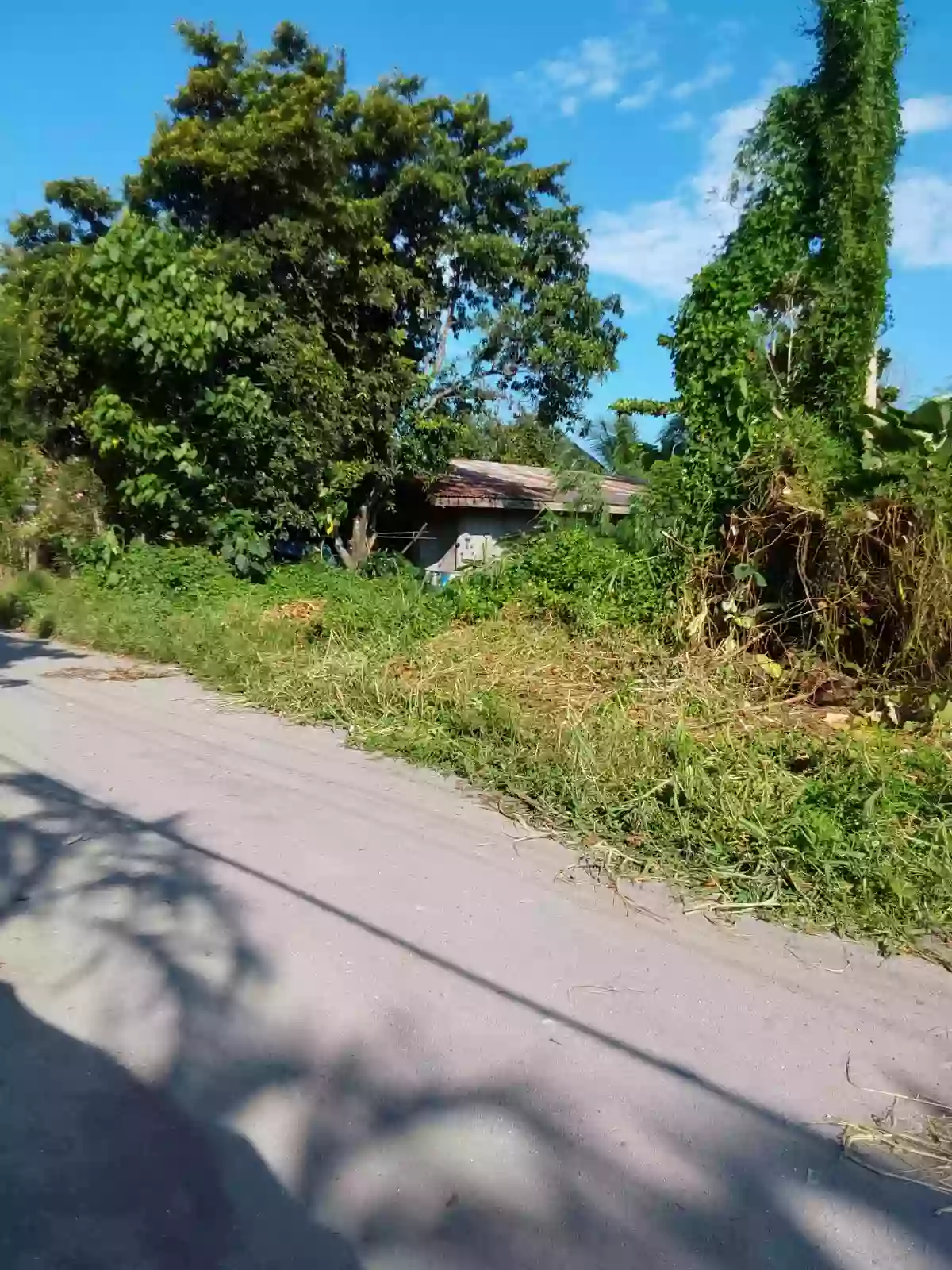For Sale: Residential Lot in San Isidro, General Santos City — 300 sqm corner lot — Residential Lot in General Santos City, South Cotabato, 9500 — Photo 5