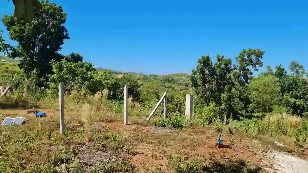 For Sale: Residential Lot in Sta. Lourdes, Puerto Princesa City — Residential Lot in Puerto Princesa City, Palawan, 5300 — Photo 3