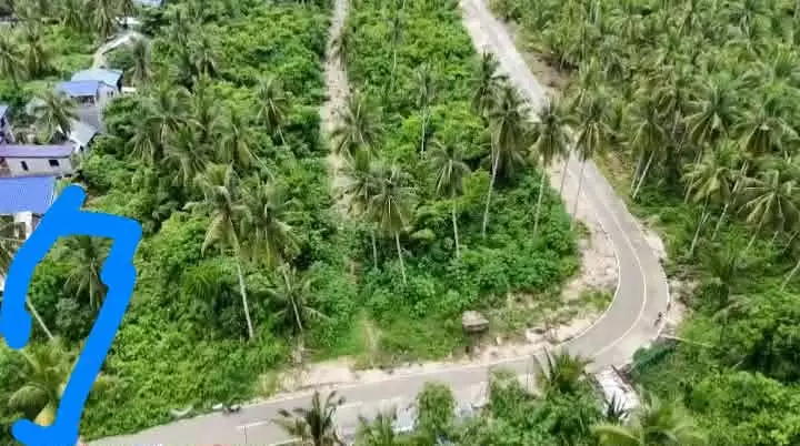 Rush Sale: PACIFICO SIARGAO LOT — Commercial Lot in San Isidro, Surigao del Norte, 8421 — Photo 4