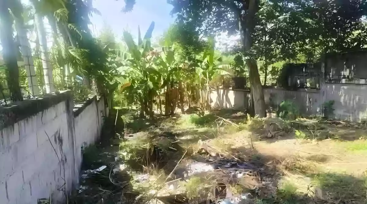 For Sale: Residential Lot in Linao, Talisay City — 250 sqm — Residential Lot in Talisay City, Cebu, 6045 — Photo 2