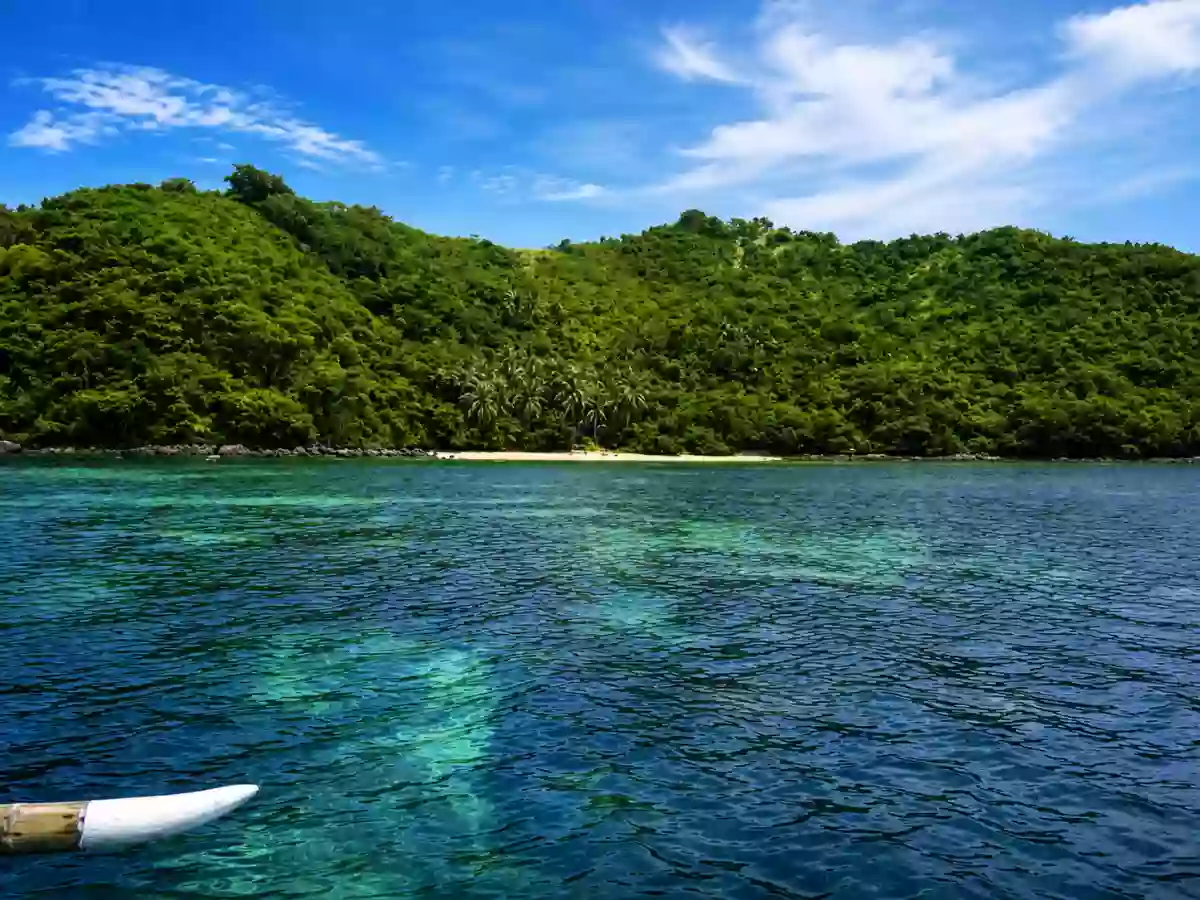 For Sale: Island in Dumaran, Palawan — 170000 sqm — Island in Dumaran (Pob.), Dumaran, Palawan — Photo 7