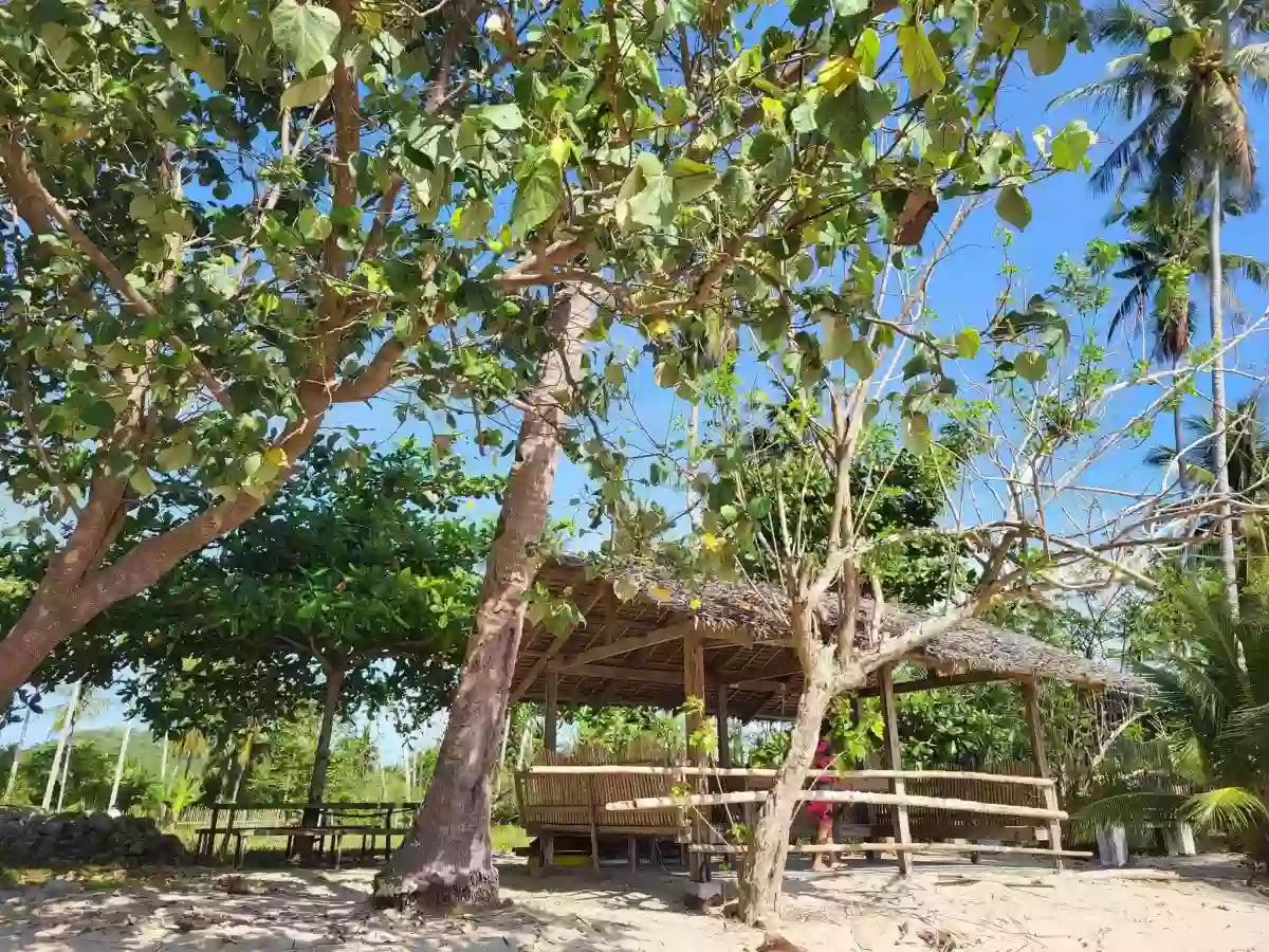 For Sale: Beach Lot in Manalo, Puerto Princesa City — Beach Lot in Puerto Princesa City, Palawan, 5300 — Photo 5