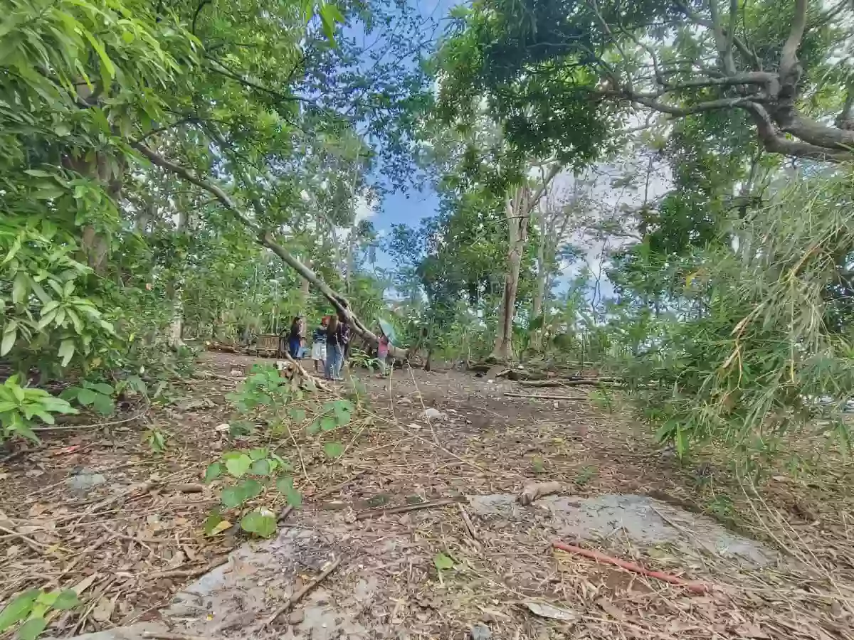 🏡 LOT FOR SALE – Cararayan, Naga City 🏡  📐 Lot Area: 661 SQM 📄 Clean Title — Agricultural Lot in Naga city, Pacol, Naga City — Photo 3