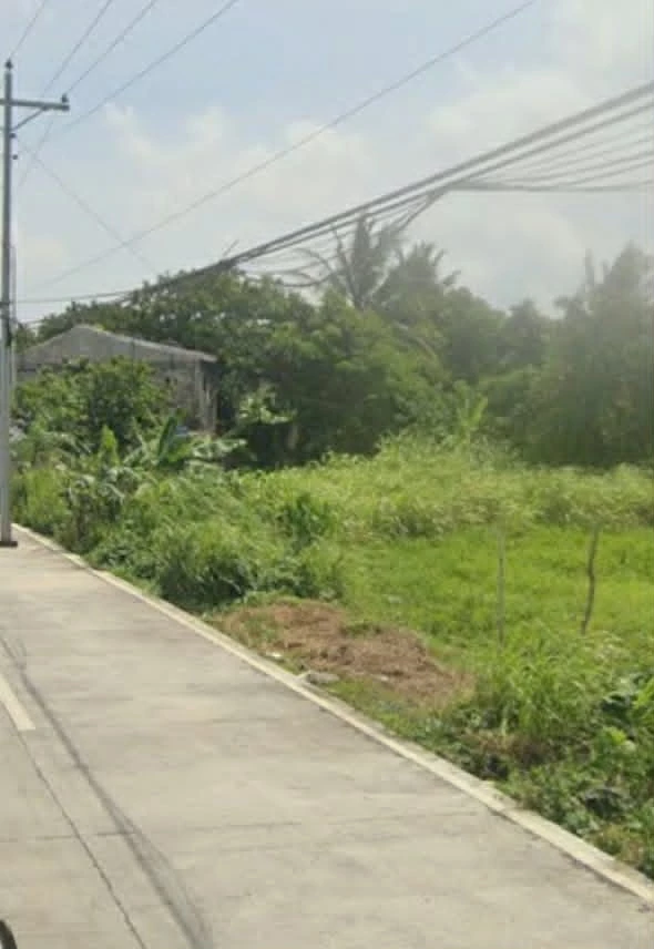 Commercial Lot for Lease — Agricultural Lot in Cararayan, Naga City, Camarines Sur — Photo 4