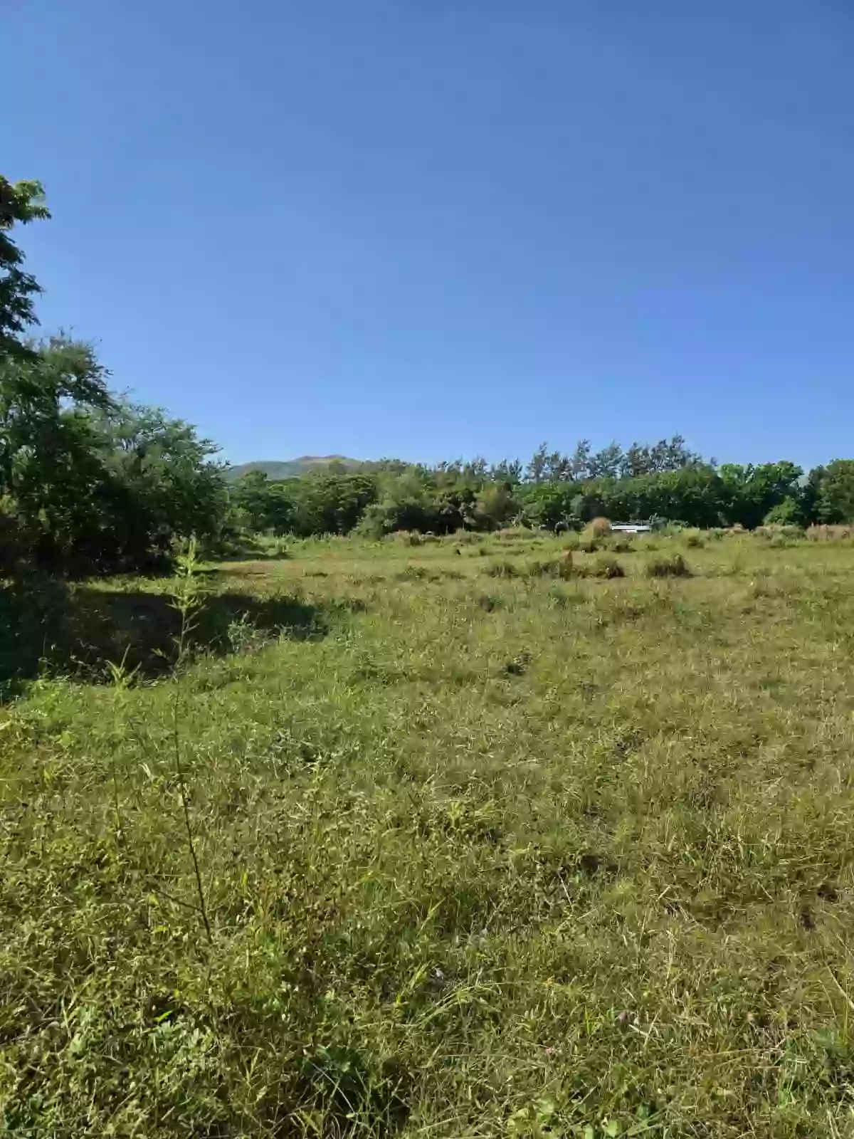 For Sale: Commercial Space Near Botolan Peoples Plaza, Botolan — Space in Carael, Botolan, Zambales — Photo 3