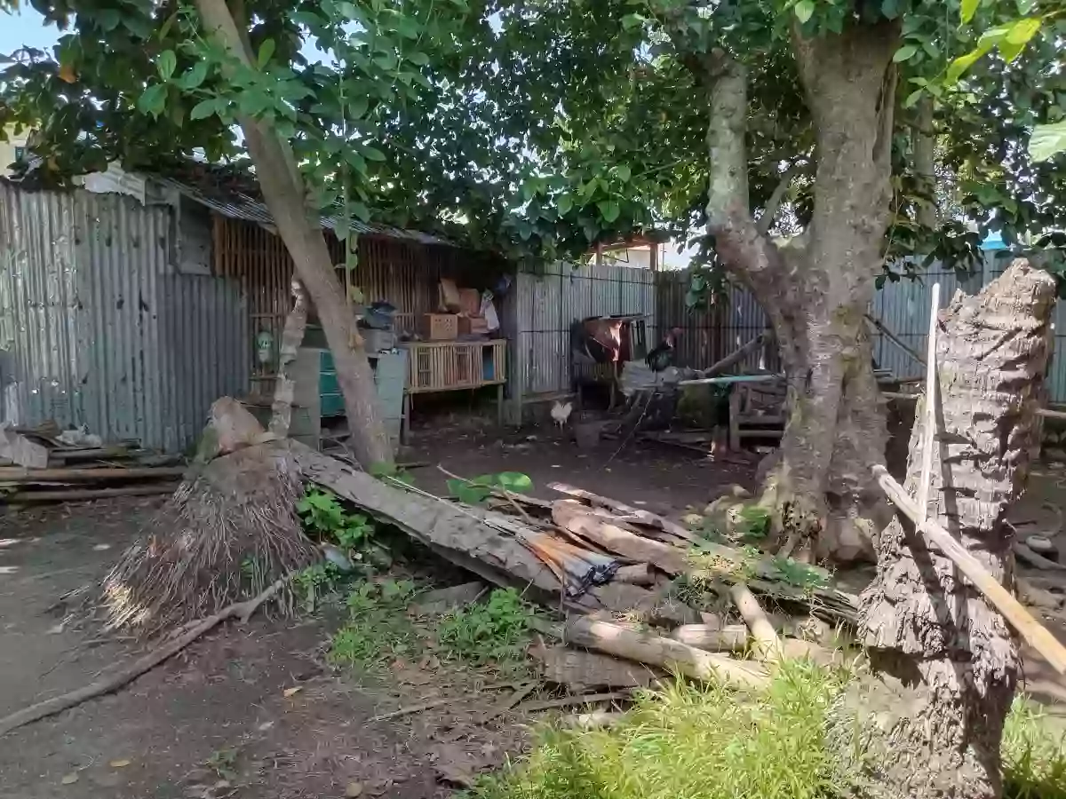 For Sale: 922 sqm Commercial Lot in Lag-Asan, Bago City — Commercial Lot in Lag-Asan, Bago City, Negros Occidental — Photo 3