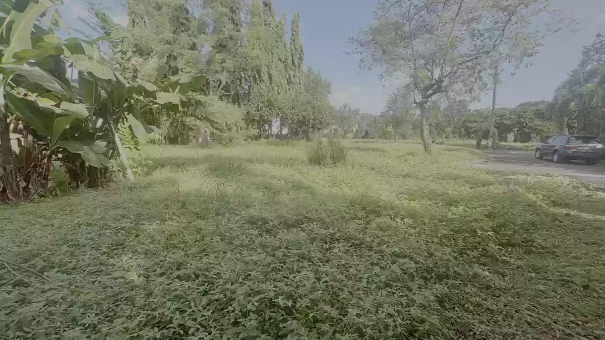 For Sale: Residential Lot in Panipuan, Mexico, Pampanga — 336 sqm — Residential Lot in Panipuan, Mexico, Pampanga — Photo 5