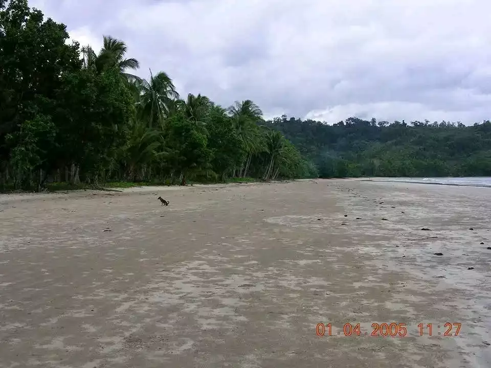 For Sale: Beach Lot in Marufinas, Puerto Princesa City — Beach Lot in Puerto Princesa City, Palawan, 5300 — Photo 3