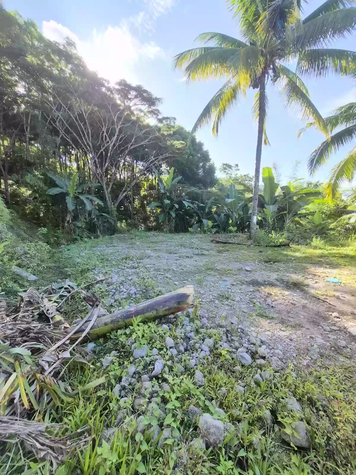 For Sale: Residential Lot in San Antonio, Sibulan — 300 sqm — Residential Lot in Sibulan, Negros Oriental, 6201 — Photo 2