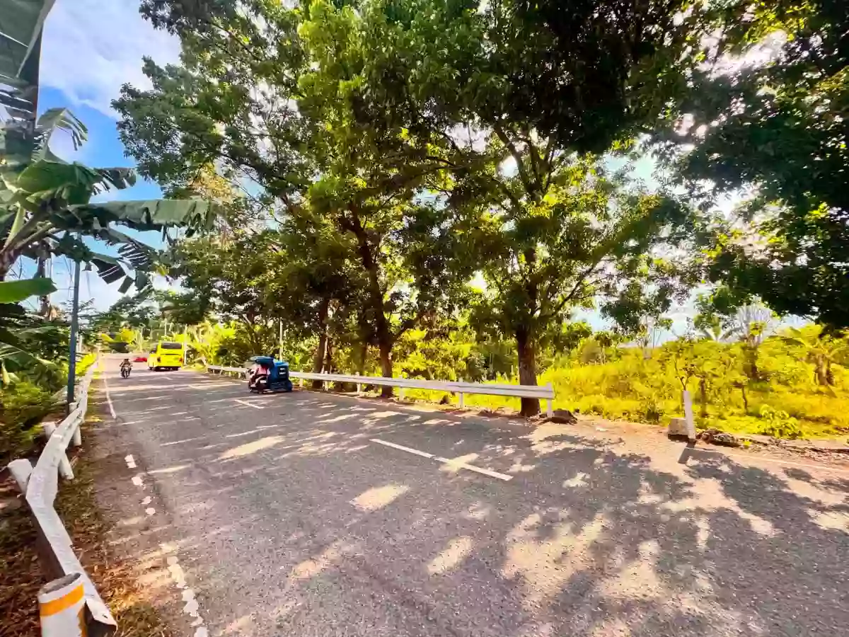 Rush Sale: ALCANTARA LOT - ALONG THE MAIN ROAD — Residential Lot in Alcantara, Cebu, 6033 — Photo 2