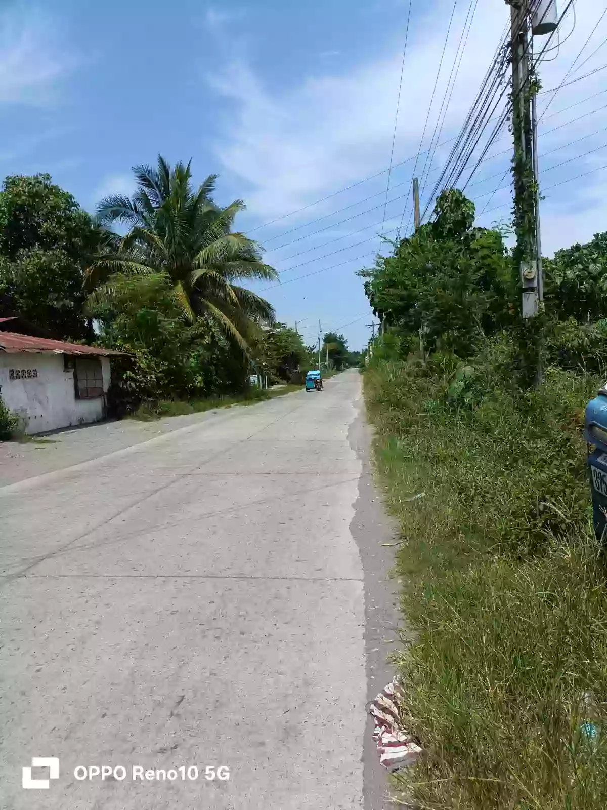 Farm Lot Forsale — Agricultural Lot in Conel, Gen. Santos City, South Cotabato — Photo 7