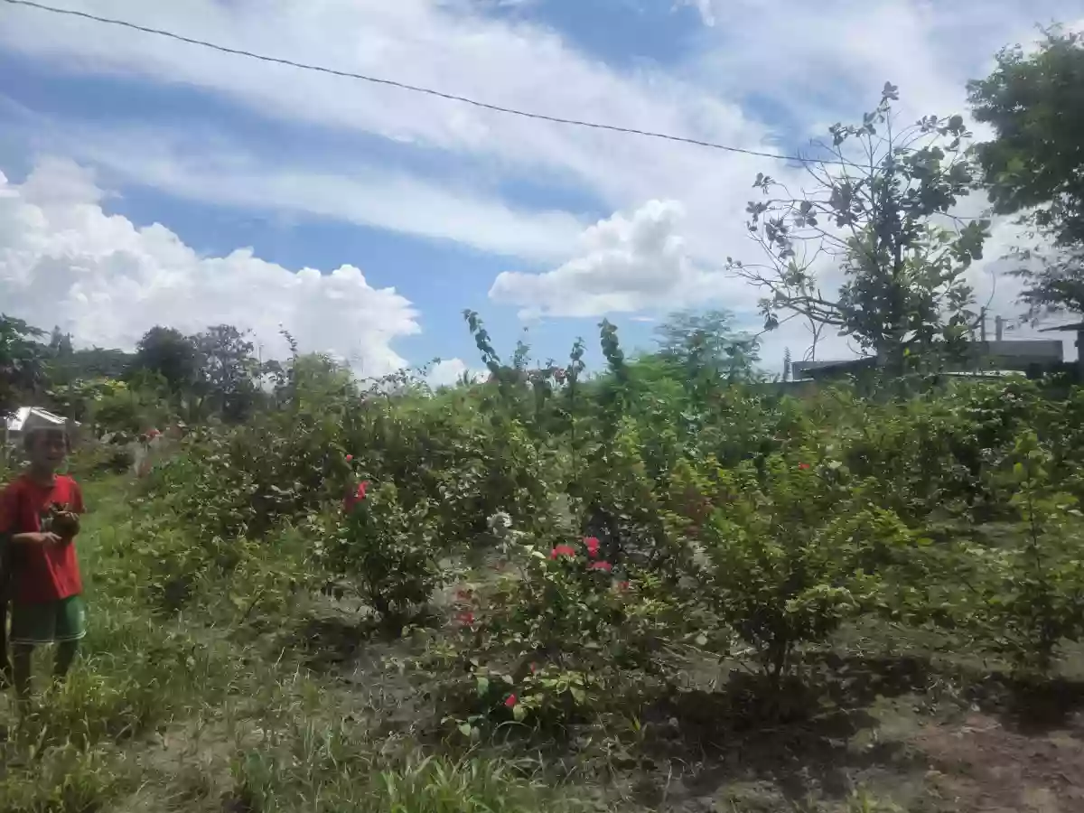 Residential Lots for Sale — Residential Lot in Mabuhay, Gen. Santos City, South Cotabato — Photo 4
