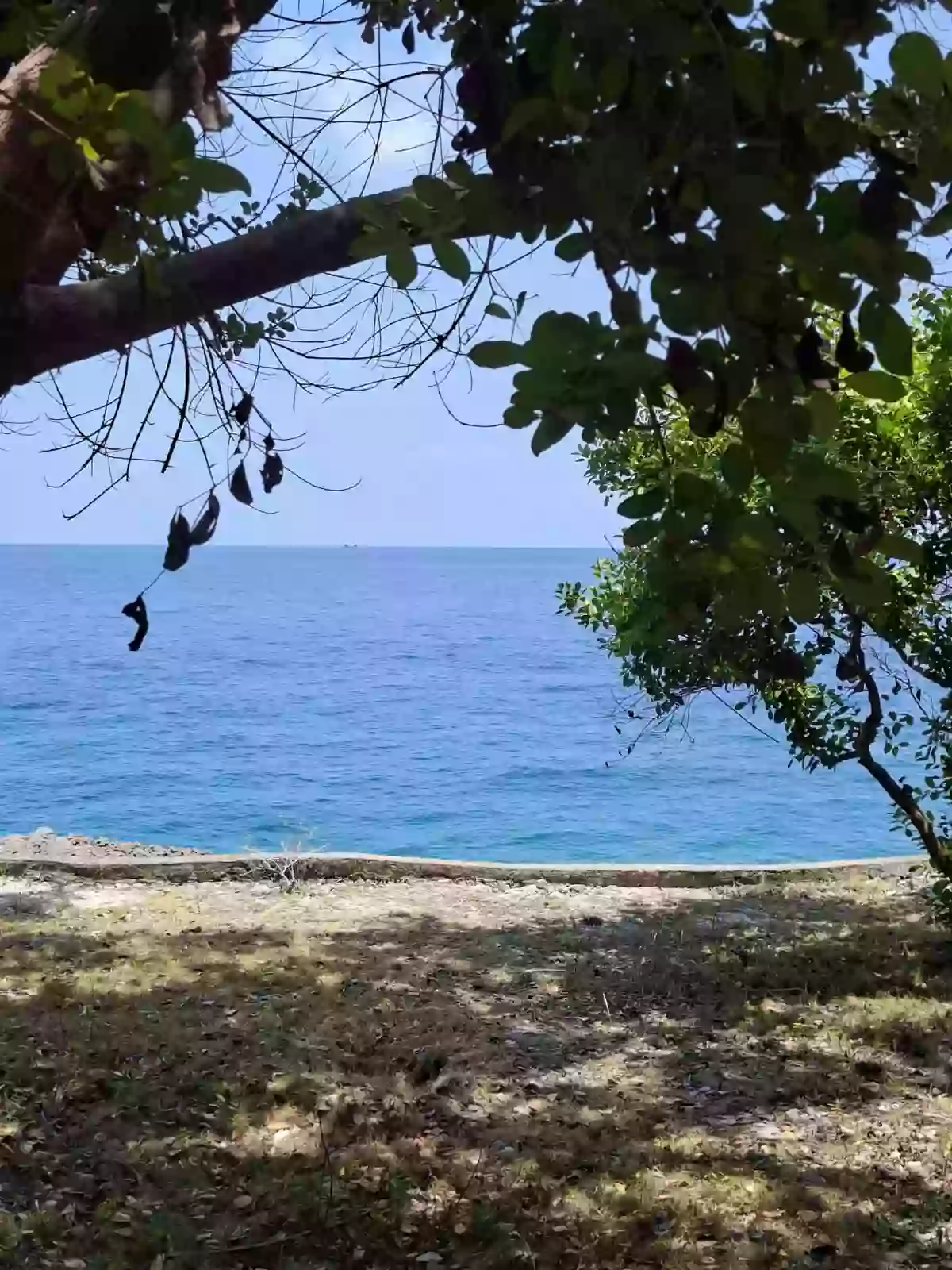 The Next Luxury Cliffside Resort Destination in Northern Cebu- Tabogon — Beach Lot in Camoboan, Tabogon, Cebu — Photo 2