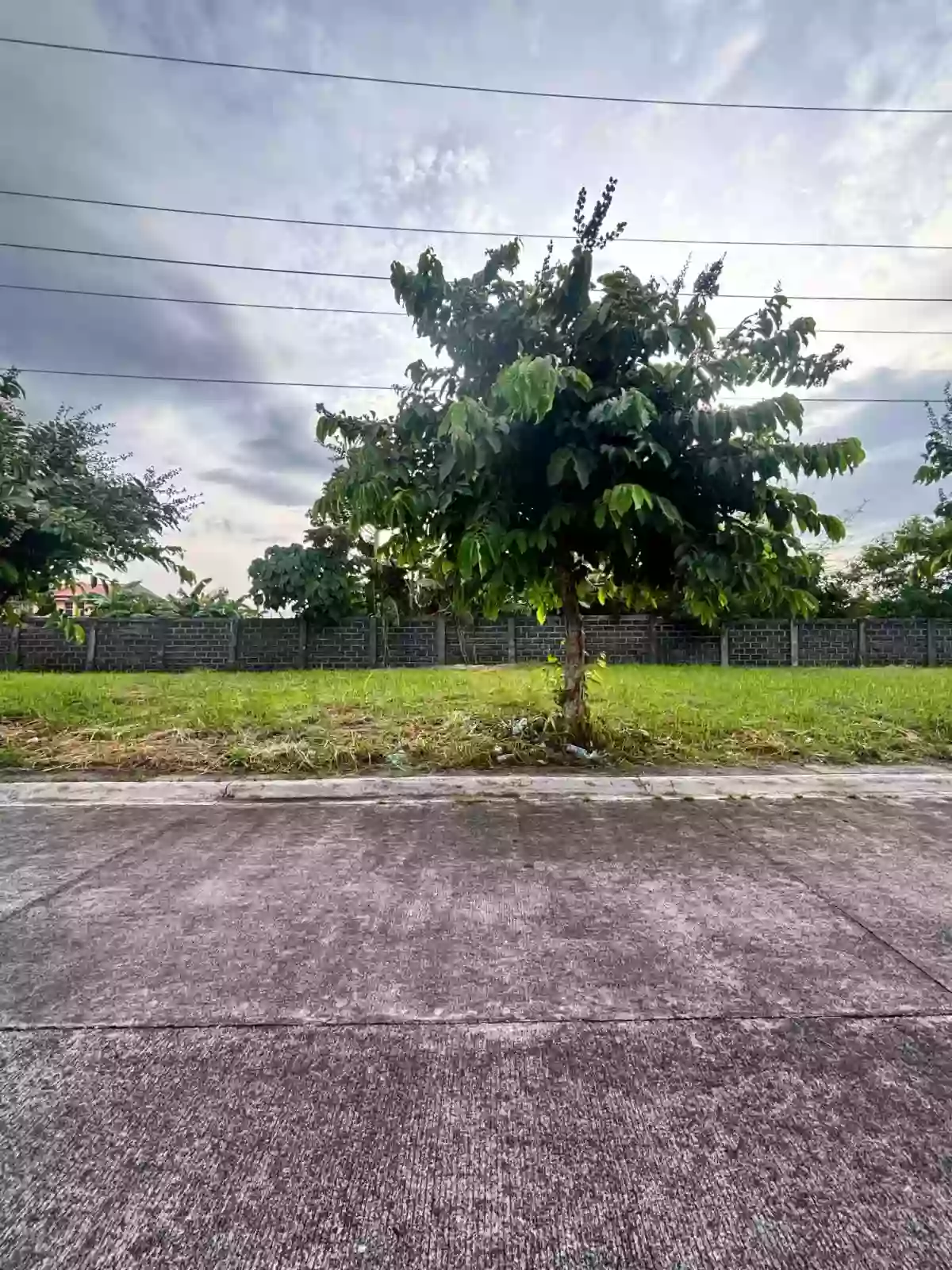 Camella Heights Residential Lot for Sale!
