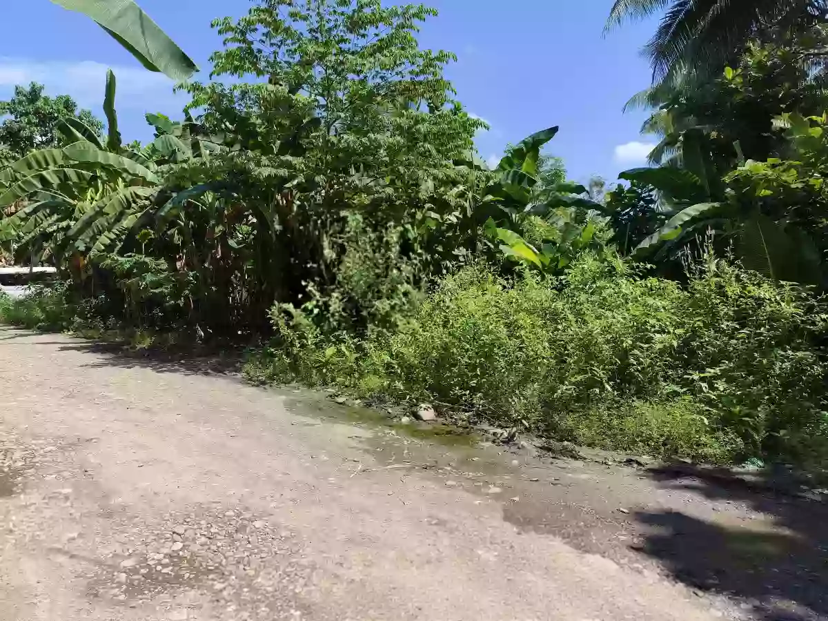Residential lot for sale — Residential Lot in Baan KM 3, Butuan City, Agusan del Norte — Photo 3