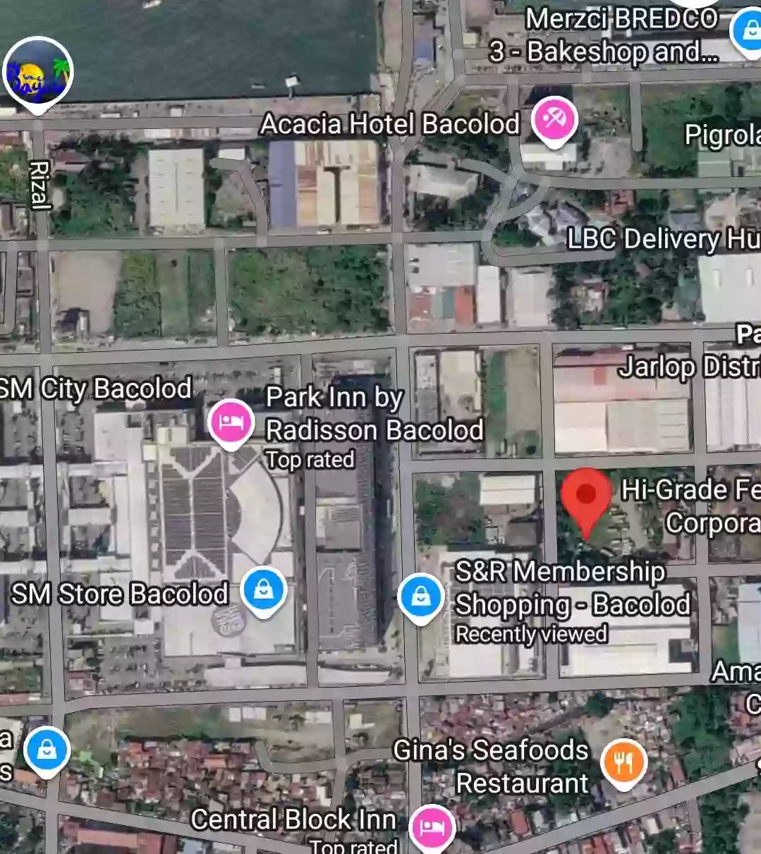 For Sale: 4000 sqm Commercial Lot in Barangay 10, Bacolod City — Commercial Lot in Barangay 10 (Pob.), Bacolod City, Negros Occidental — Photo 3