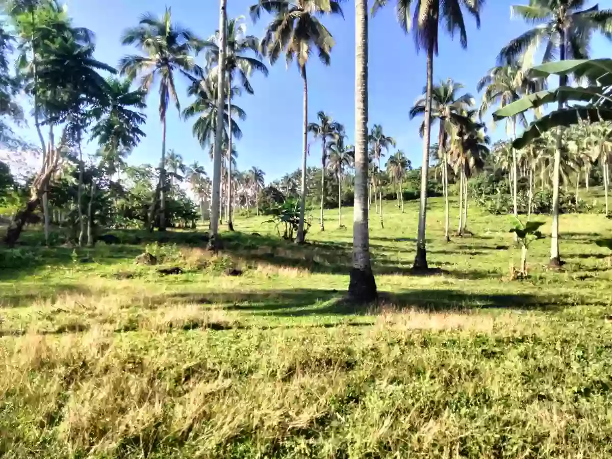 For Sale: Residential Lot Near Pagadian Doctors Specialist Hospital, Pagadian City