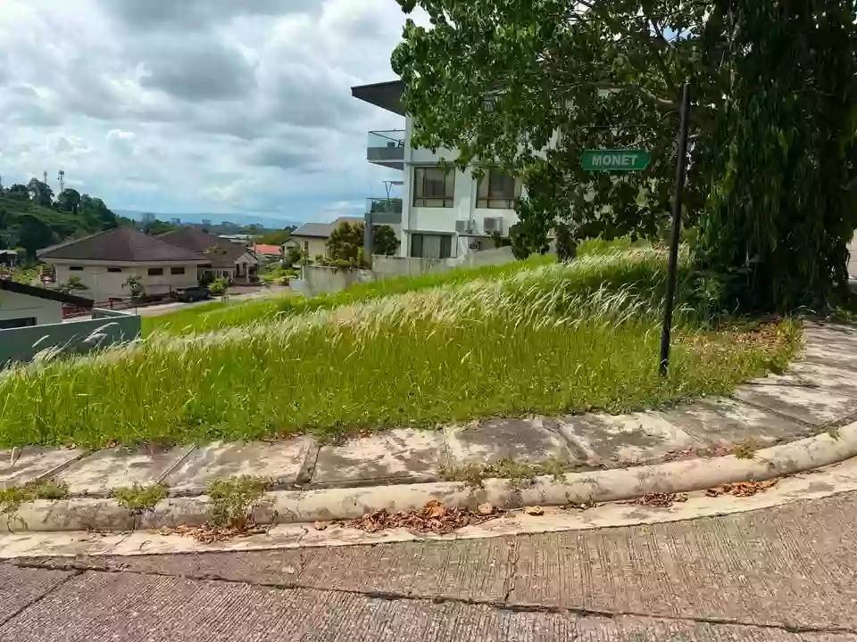 For Sale: Residential Lot in Ma-a, Davao City — 458 sqm — Residential Lot in Davao City, Davao del Sur, 8000 — Photo 4