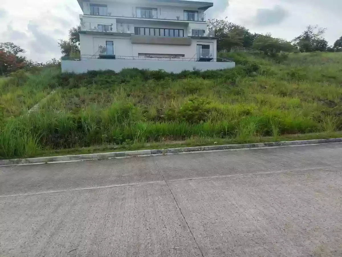 For Sale: Residential Lot in Talamban, Cebu City — 403 sqm — Residential Lot in Talamban, Cebu City, Cebu — Photo 5