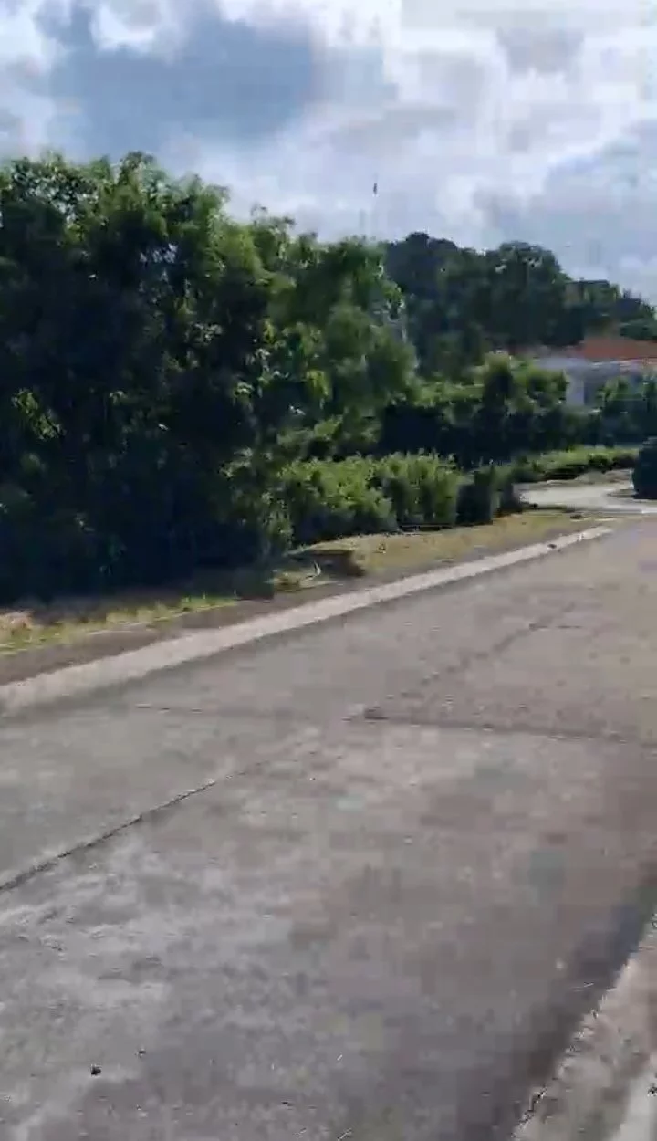For Sale: Residential Lot in Palinpinon, Valencia, Negros Oriental — 456 sqm