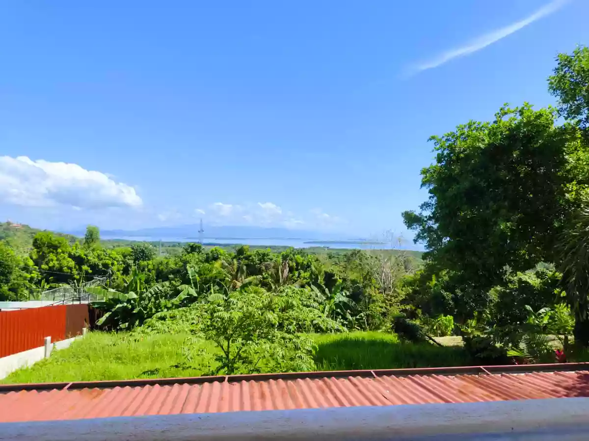 FOR SALE: 1,736 sqm Residential Lot in Santa Lourdes, Puerto Princesa City — Residential Lot in Puerto Princesa City, Palawan, 5300 — Photo 4