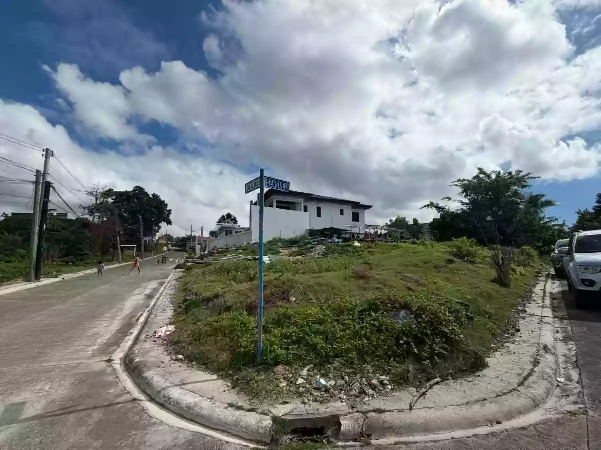 OVERLOOKING CORNER UNIT RESIDENTIAL LOT — Residential Lot in Lawaan I, Talisay City, Cebu — Photo 2