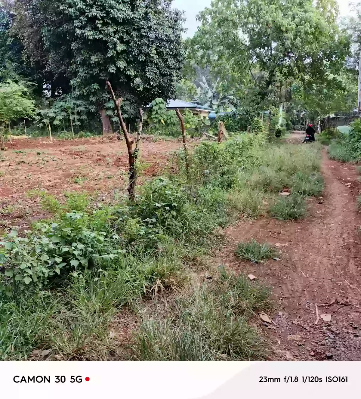 Rush Sale: Residential Lot in San Manuel, Puerto Princesa City — Investment — Residential Lot in Puerto Princesa City, Palawan, 5300 — Photo 4