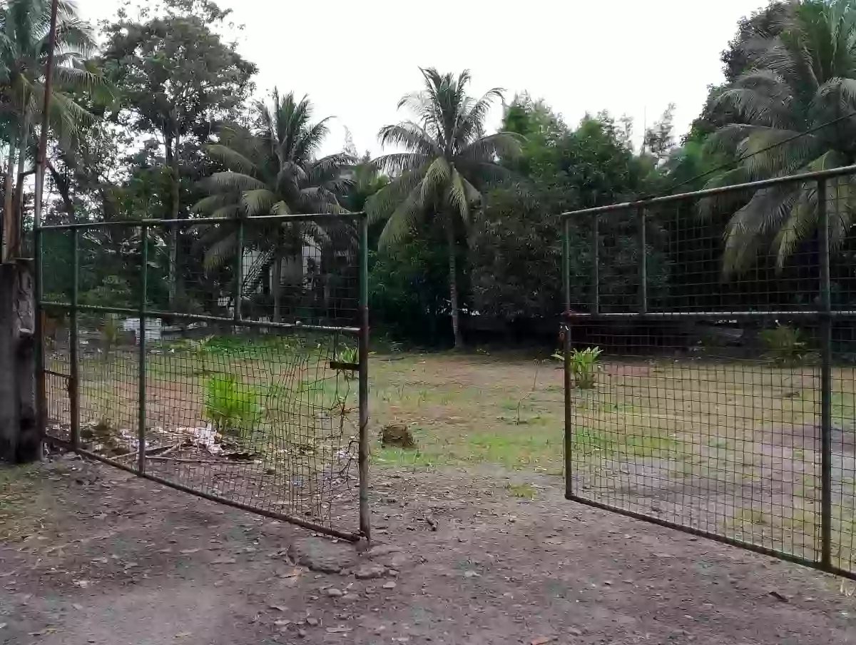 For sale: Cannery Site Building in Polomolok — business operations — Building in South Cotabato, 9504, Philippines — Photo 5