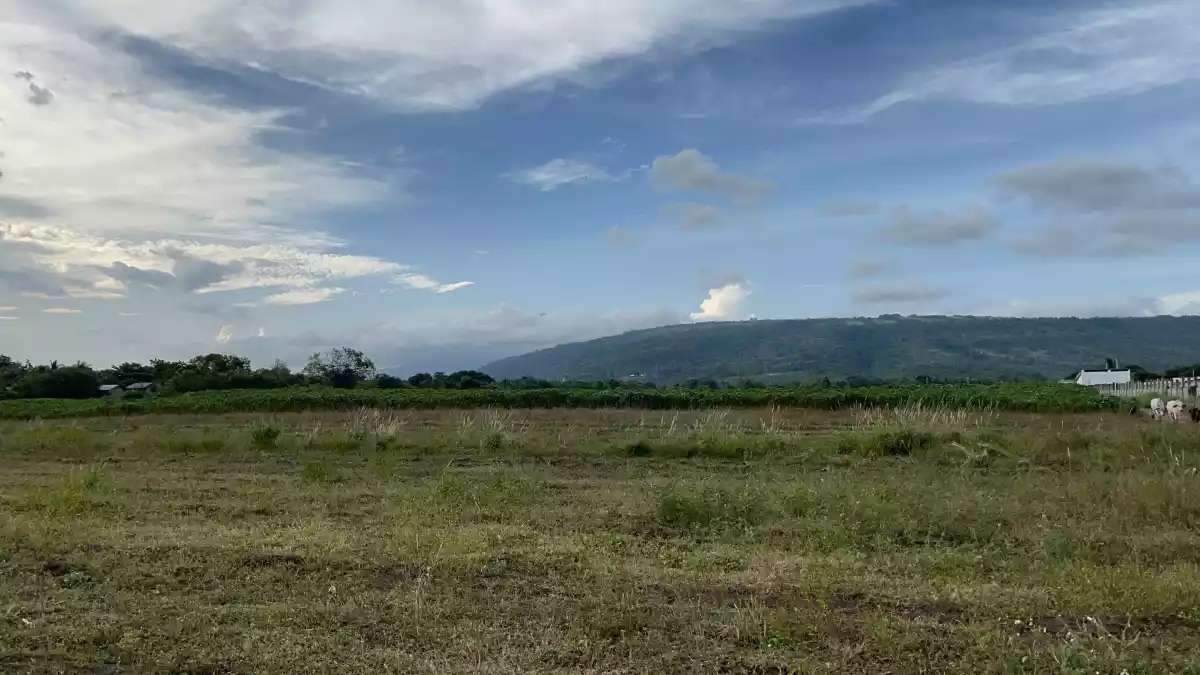 For Sale: Agricultural Lot in Mabuhay, Gen. Santos City — 20,000 sqm — Agricultural Lot in Gen. Santos City, South Cotabato, 9500 — Photo 5