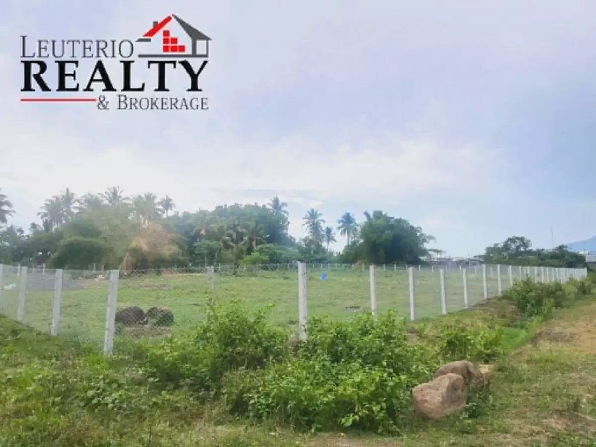 For Sale: Agricultural Lot in Pacol, Naga City — 4,000 sqm — Agricultural Lot in Naga City, Camarines Sur, 4400 — Photo 3