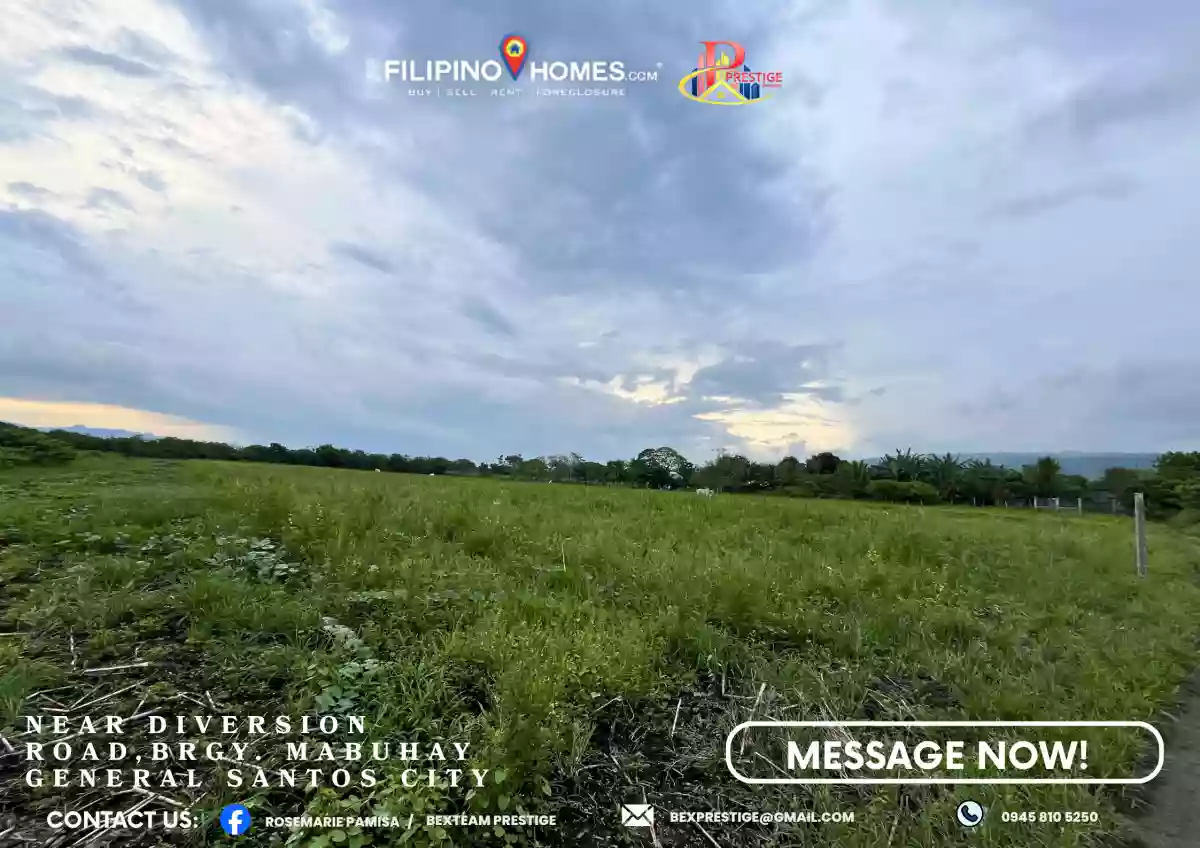 For Sale Agricultural Lot in Mabuhay, Gen. Santos City 10,000 sqm — Agricultural Lot in Gen. Santos City, South Cotabato, 9500 — Photo 4