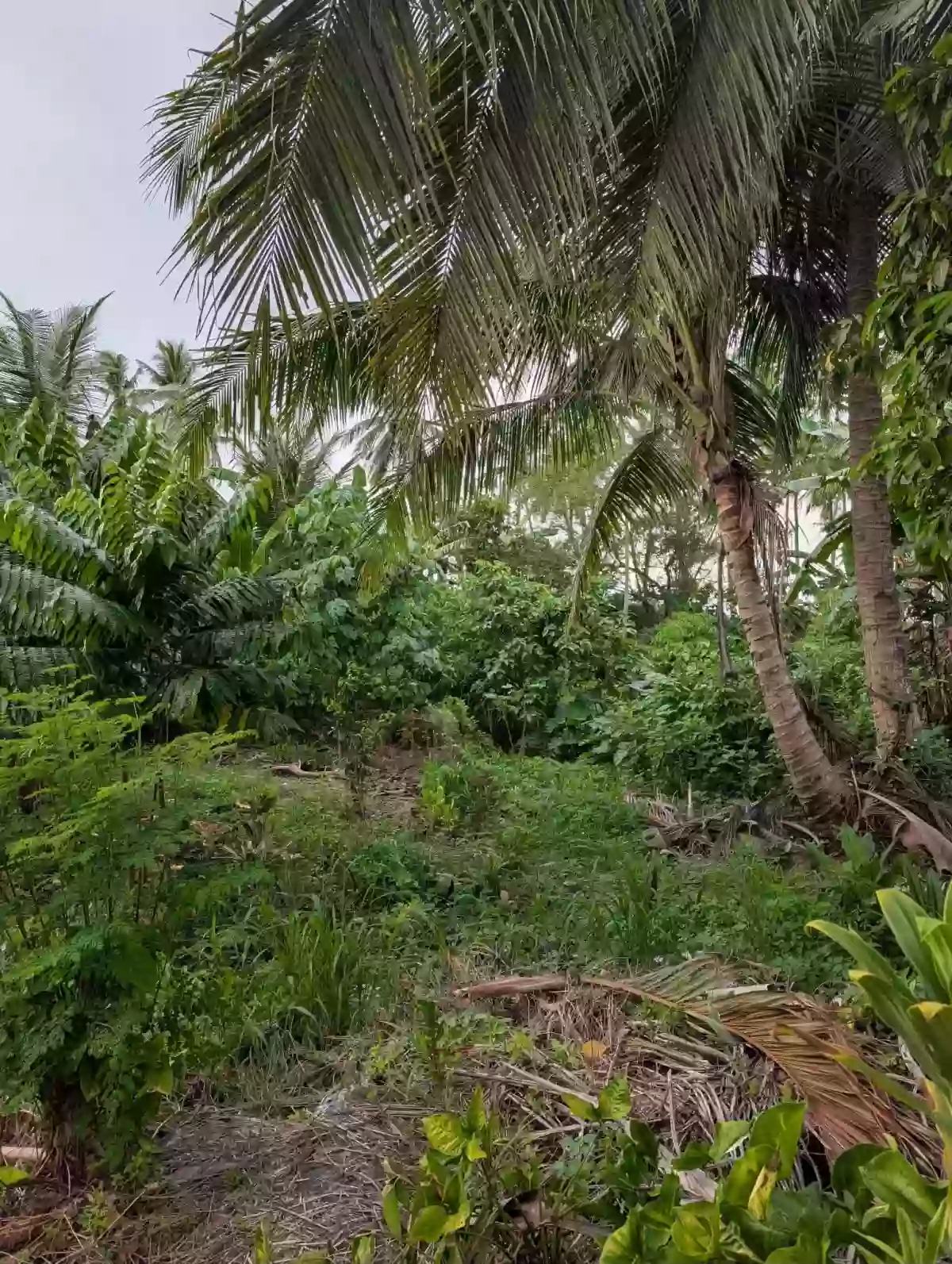 FOR SALE Residential Lot in Katangawan, General Santos City — 268 sqm