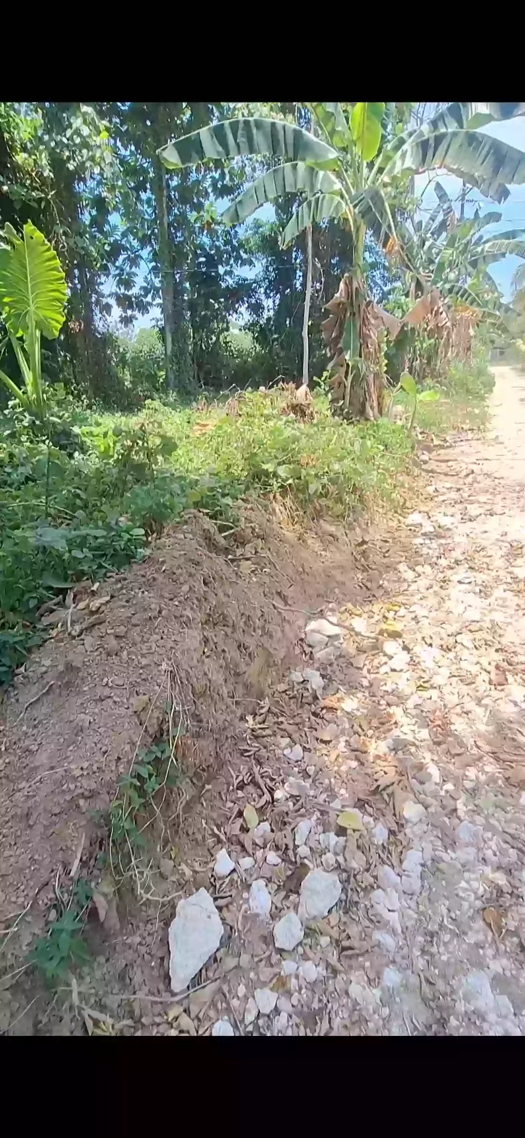 For Sale: Residential Lot in Poblacion, Kidapawan City — Investment Lot