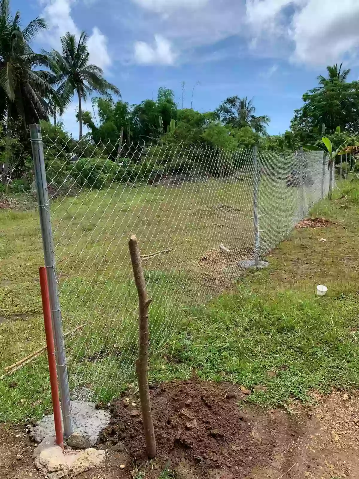 For Sale: Lot only in Tangnan Panglao, Bohol