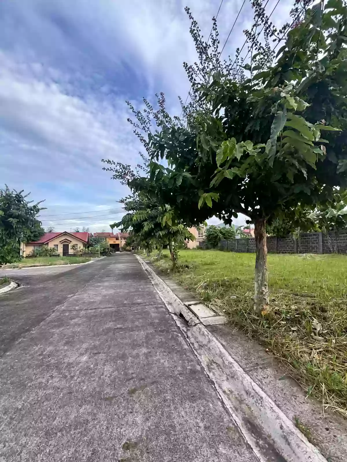 For Sale: Residential Lot in Cararayan, Naga City — 87 sqm — Residential Lot in Camarines Sur, 4400, Philippines — Photo 4