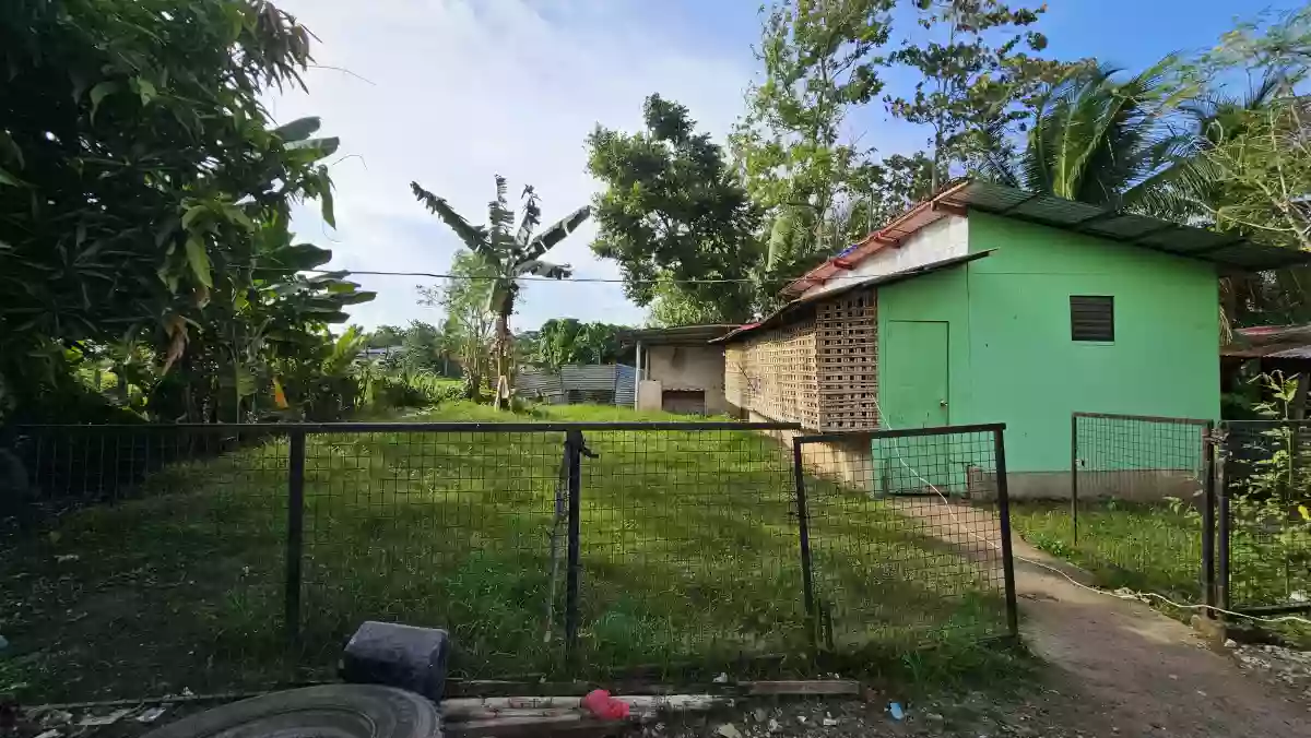 PRIME COMMERCIAL LOT IN SAGAY CITY — Commercial Lot in Sagay, Negros Occidental, 6122 — Photo 4