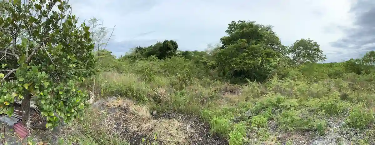For Sale: 5996 sqm Cliff Beach Lot in Bingag, Dauis — Investment — Beach Lot in Dauis, Bohol, 6339 — Photo 3