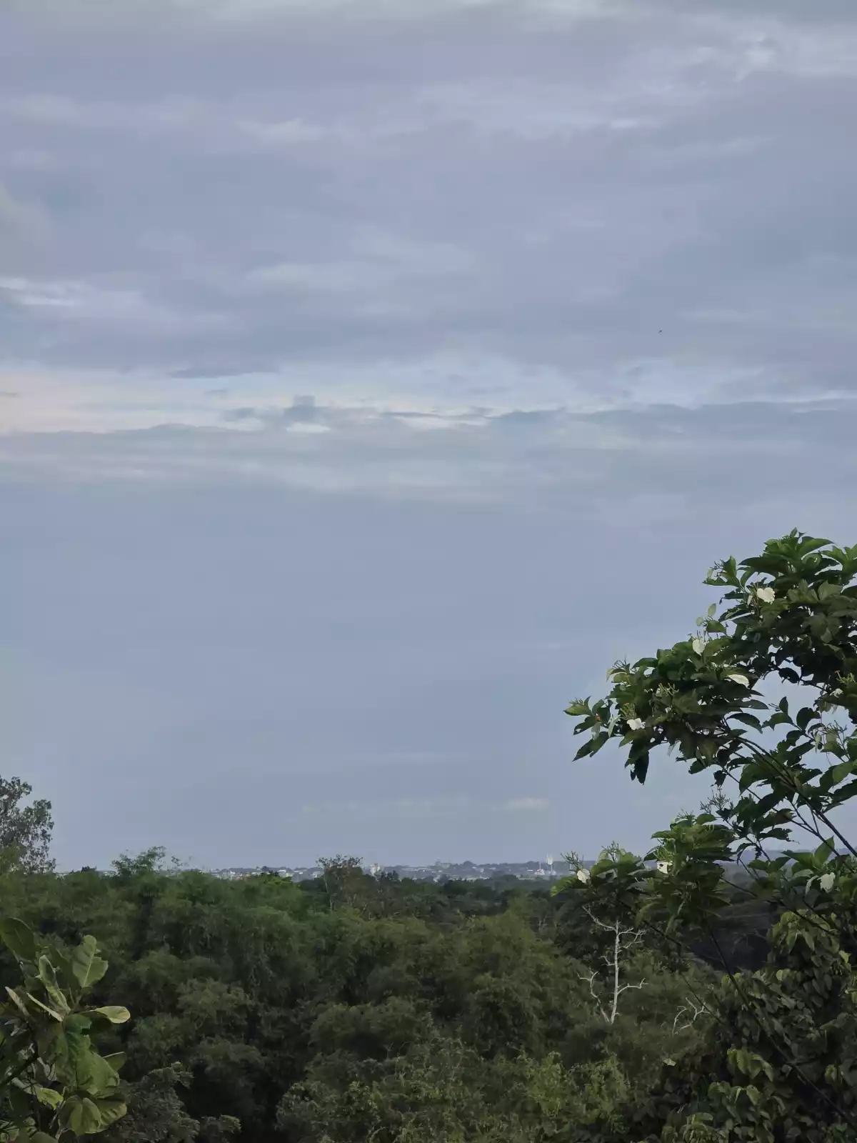 Own a place where nature's beauty becomes part of your everyday LIFE — Agricultural Lot in Irawan, Puerto Princesa City, Palawan — Photo 3