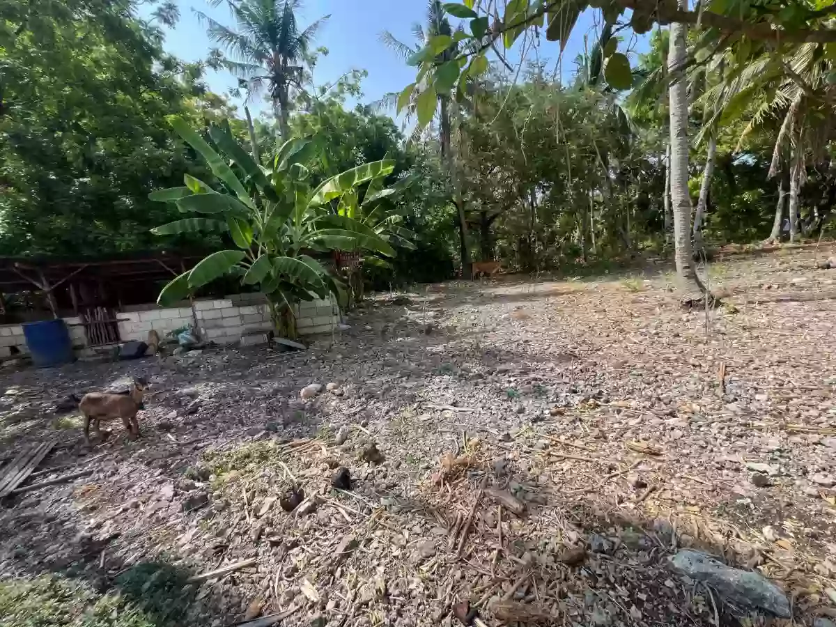 Lot in Poblacion Oslob — Agricultural Lot in Oslob, Cebu, 6025 — Photo 3