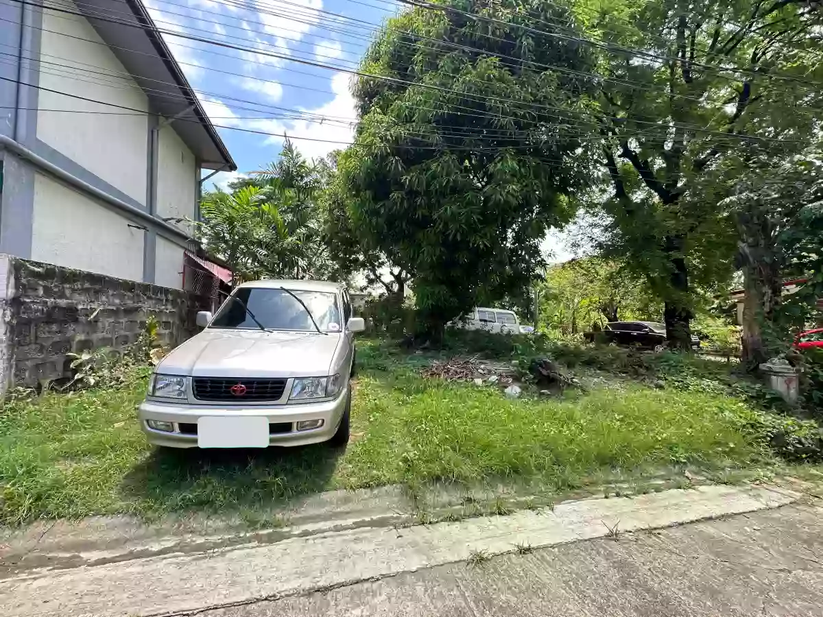 For Sale: 256 sqm Residential Corner Lot in BF Homes Phase 1, north Caloocan City — Residential Lot in Barangay 169, Caloocan City, Metro Manila — Photo 4