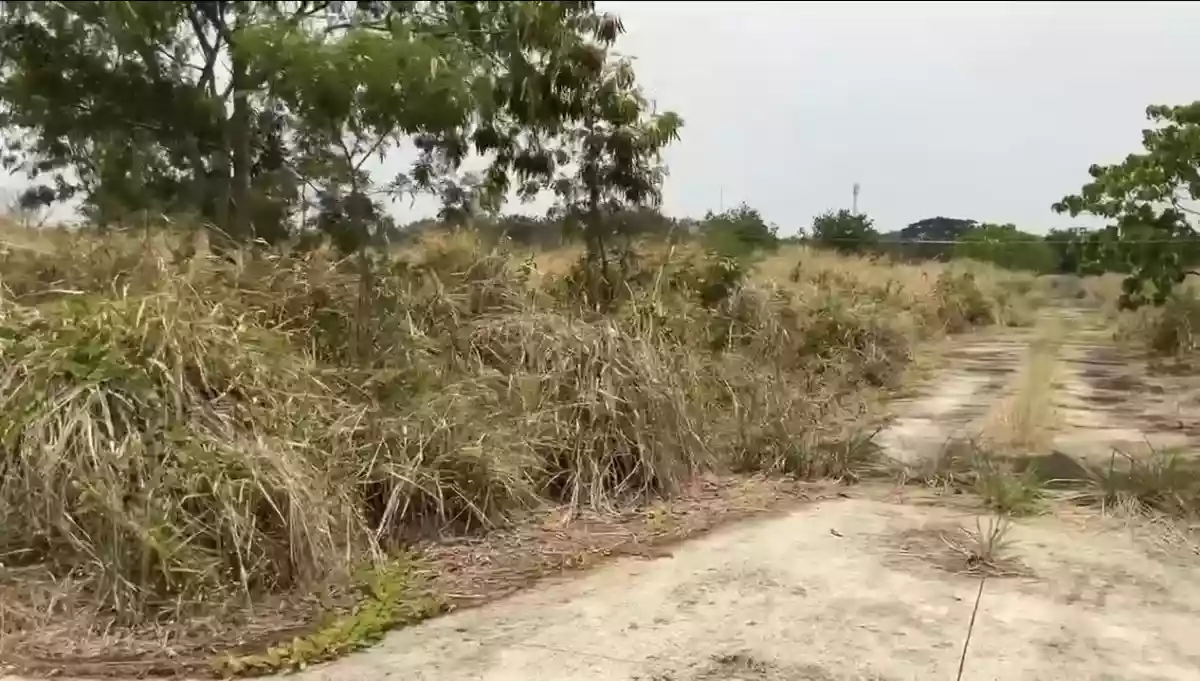 For Sale: Residential Lot in Manggahan, Gen. Trias — 129 sqm — Residential Lot in Gen. Trias, Cavite, 4107 — Photo 3