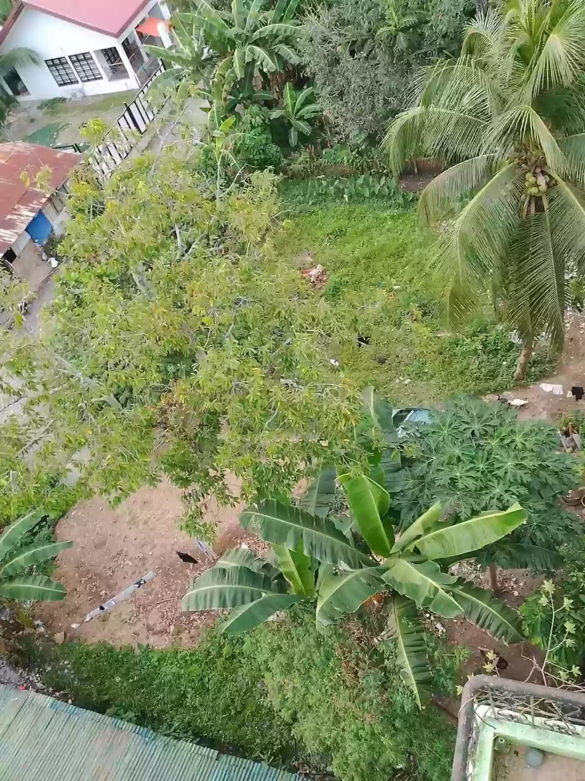 LOT FOR SALE – PRIME LOCATION